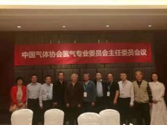 中国工业气体工业协会氢气专业委员会2018年第二次主任委员会在佛山召开
