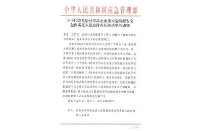 国家消防救援局关于印发《消防安全重大风险隐患专项排查整治2023行动工作方案》的通知