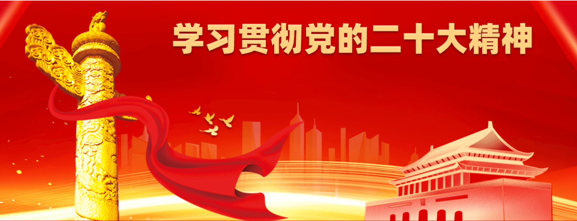 学习贯彻党的二十大精神